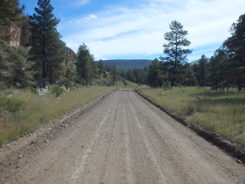 GDMBR:Heading north on NF-28, La Jolla Canyon, Gila NF, NM .